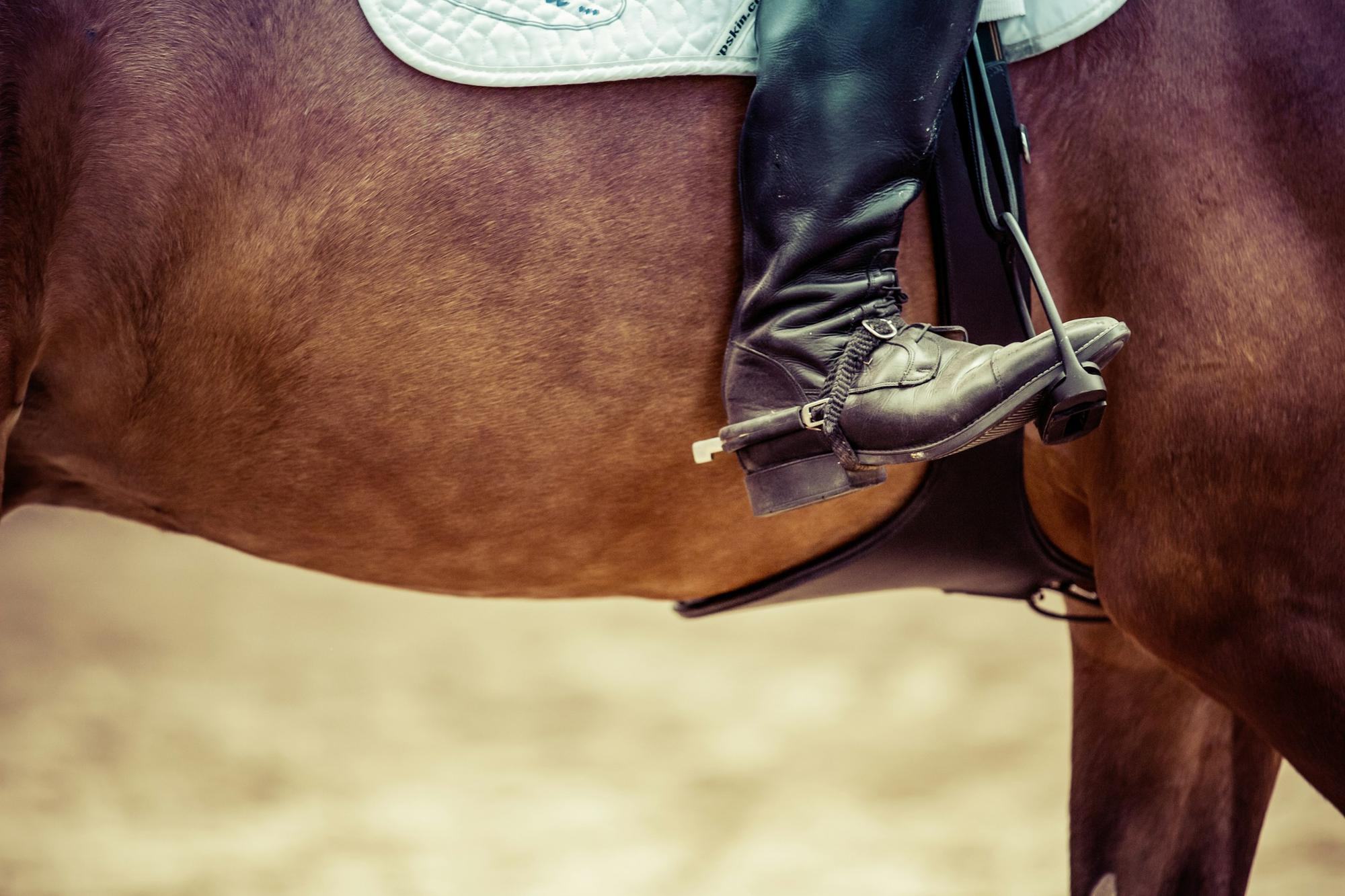 A rider's boot resting in a stirrup iron on a bay horse