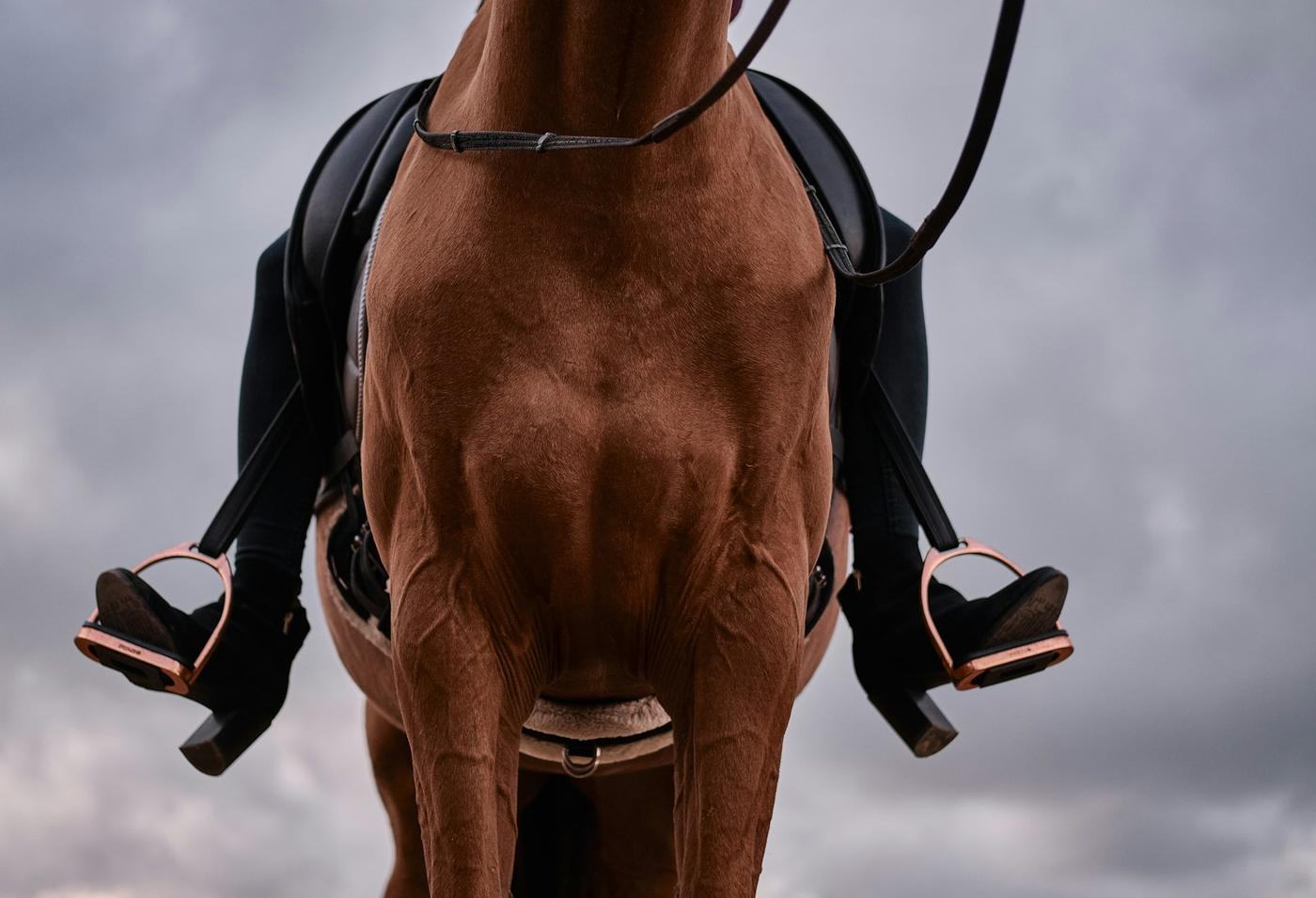 Stirrup irons hanging from a saddle, seen from behind